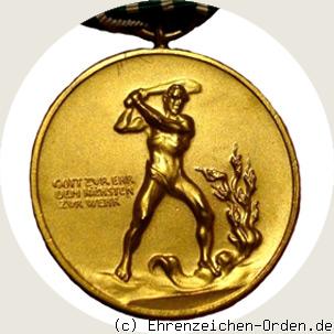 Feuerwehr-Medaille für 40 Jahre Freistaat Sachsen 1920